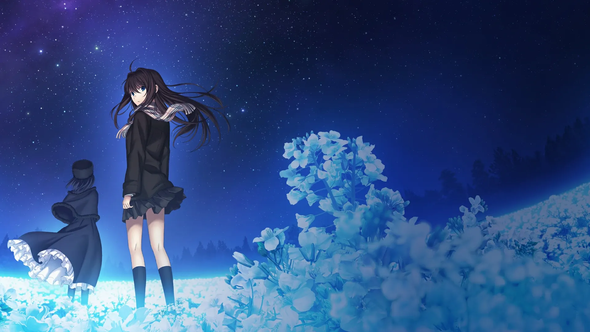 Cover Image for 魔法使之夜：型月宇宙的開端